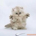 ���� ���������, ������� �����, 52 ���� - ��������� 24 ������� 2014 � ������ ���� ����������