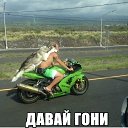 ���� ��������, ������, 33 ���� - ��������� 7 ������� 2015 � ������ ���������