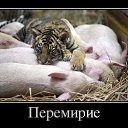 ���� ����, �������, 44 ���� - ��������� 9 ����� 2015 � ������ ���� ����������
