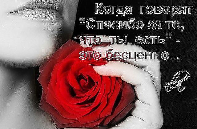 ** - 23  2015  15:06