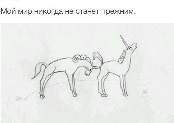    - 25  2014  21:33