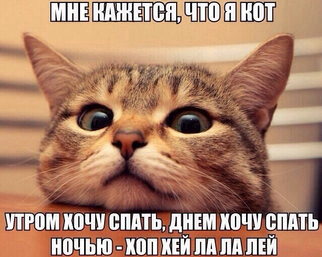    :-) - 12  2015  22:41