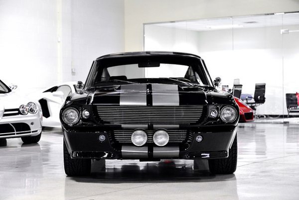 1967 ELEANOR RECREATION