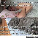 ���� ������, ��������� - ��������� 6 ����� 2015 � ������ ������ ��������