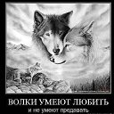 ���� Ilgar, ���� - ��������� 30 ����� 2015 � ������ ���� ����������