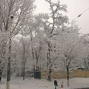 ���� ������, ���������, 62 ���� - ��������� 14 ������� 2015 � ������ ���� ����������