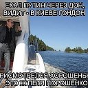 ���� �����, �����-���������, 46 ��� - ��������� 16 ������� 2014 � ������ ������ ��������