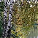 ���� ����, ������, 67 ��� - ��������� 20 ������� 2014 � ������ ���� ����������