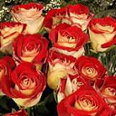 ���� ����, �����-��������� - ��������� 13 ������� 2014 � ������ ������ ��������