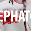 ���� ˸��, ������ - ��������� 25 ������ 2015 � ������ �������
