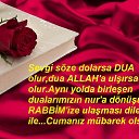 ���� ��������, ���, 47 ��� - ��������� 11 ������� 2015 � ������ ������ ��������