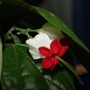 ���� �. �., ������������� - ��������� 14 ������� 2014 � ������ ���� ����������