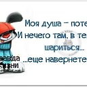 ���� ������, ������ - ��������� 8 ������ 2015 � ������ ������ ��������