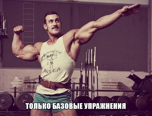 СПИНА.-Подтягивания-Тяга штанги в наклоне-Тяга штанги в наклоне обратным хватом-Становая тяга-Тяга ...