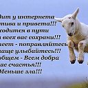 ���� �����, ������ - ��������� 11 ������ 2015 � ������ ������ ��������