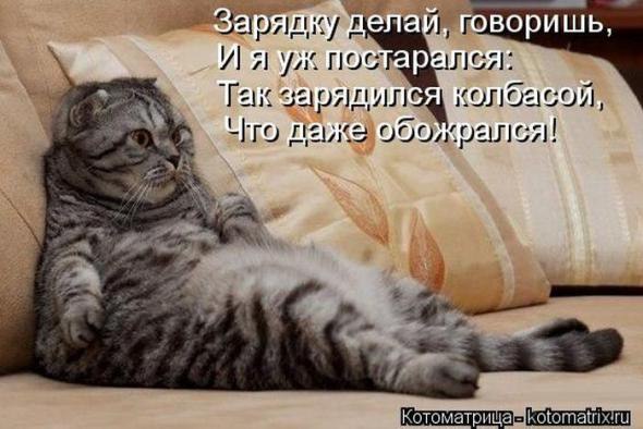  - 10  2015  12:58