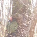 ���� ������, ������, 46 ��� - ��������� 13 ������ 2015