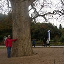 ���� ���, ������, 66 ��� - ��������� 27 ������� 2014 � ������ ���� ����������