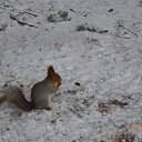 ���� �������, ���������, 67 ��� - ��������� 3 ����� 2015 � ������ ���� ����������