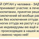 ���� �����, ������, 65 ��� - ��������� 12 ������� 2015 � ������ ������ ��������