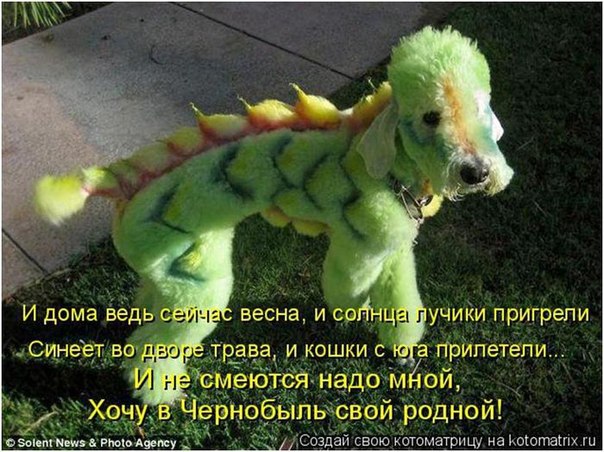������ �� �� ������� "��� ������ "�������" "