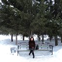 ���� �����, ����������� - ��������� 6 ����� 2015 � ������ ���� ����������