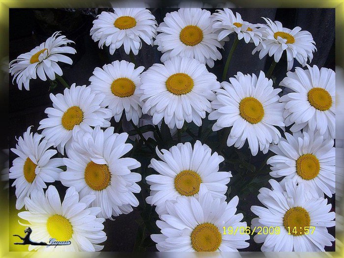     ..........))))))))))))) - 2