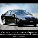 ���� �����, ������, 36 ��� - ��������� 25 ������� 2014