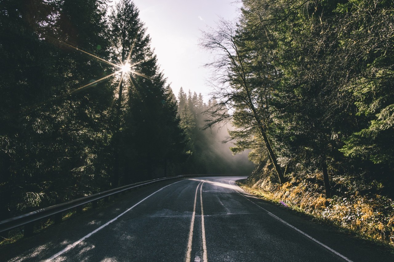 Oregon, №527073722, 26 февраля 2015 в 00:09 