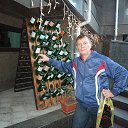 ���� �������, ������������, 66 ��� - ��������� 20 ������ 2015 � ������ ���� ����������