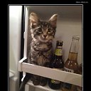 ���� ������, �����-���������, 50 ��� - ��������� 2 ������ 2015 � ������ ���� ����������