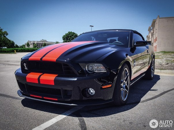 Shelby GT500 Convertible. - 7