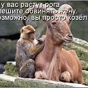 ���� �������, ����� - ��������� 18 ������� 2014 � ������ ������ ��������
