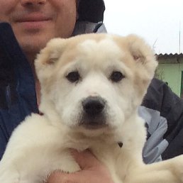 Evgeny, ������, 52 ����