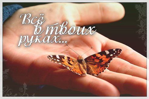 Не было б падений — мы б не поднимались, если бы не плакали — мы б не улыбались… без разочарований… ...