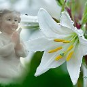 ���� Natali, ���� - ��������� 20 ����� 2015 � ������ ������ ��������