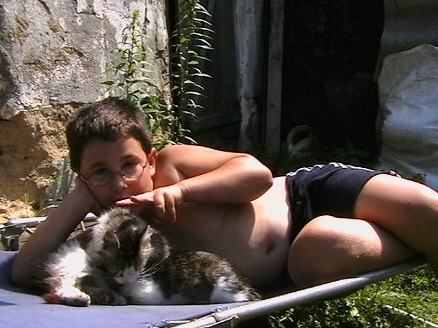    ,   2     4   ,   )))