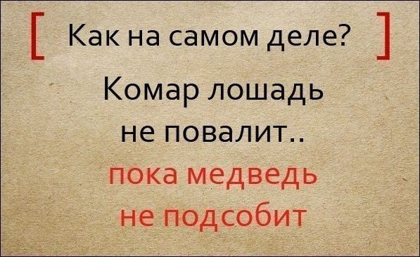 ������ �������� ��������� ���������: �� ����, �� ����, [�� ������, �� ����]. ������ �����, [������� ... - 2