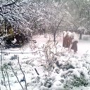 .., 10-� ������... �� ������� ���� ����������