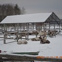 ���� ���������, �������-�����, 50 ��� - ��������� 6 ������� 2015 � ������ ������� �����-2015�