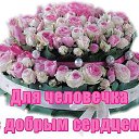 ���� ������, ������� - ��������� 11 ������� 2015 � ������ ���� ����������