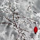 ���� ��������, ������ �������� - ��������� 15 ������� 2014 � ������ ������ ��������