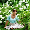 ���� ������, ����������� - ��������� 29 ����� 2015 � ������ ���� ����������