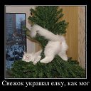  N..., , 47  -  14  2014       )))