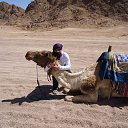 ���� ��������, ������������, 50 ��� - ��������� 5 ������ 2015 � ������ ���� ����������