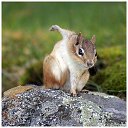 ���� �����, ������� �����-7, 54 ���� - ��������� 15 ������ 2015 � ������ �������.�