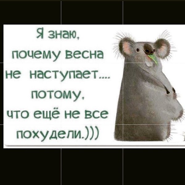 ���� �������� - 22 ������ 2015 � 00:00