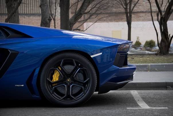 Blue Lamborghini Aventador - 8