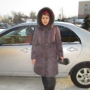 29 12 2015� �� ������� ���� ����������