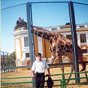 ���� ���, �������, 46 ��� - ��������� 18 ����� 2015 � ������ ���� ����������